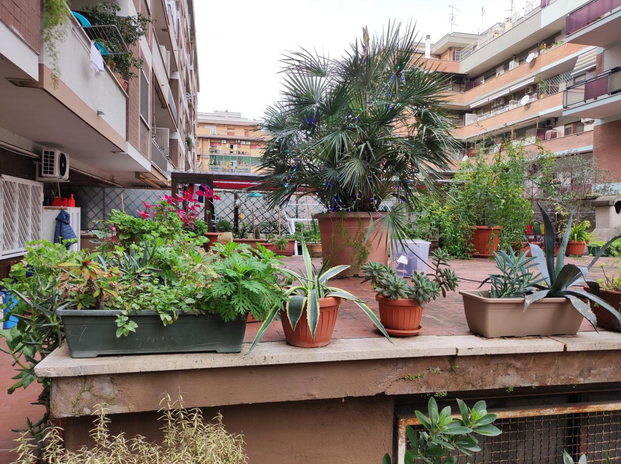 Terrazza Di Ernesto Lägenhet *