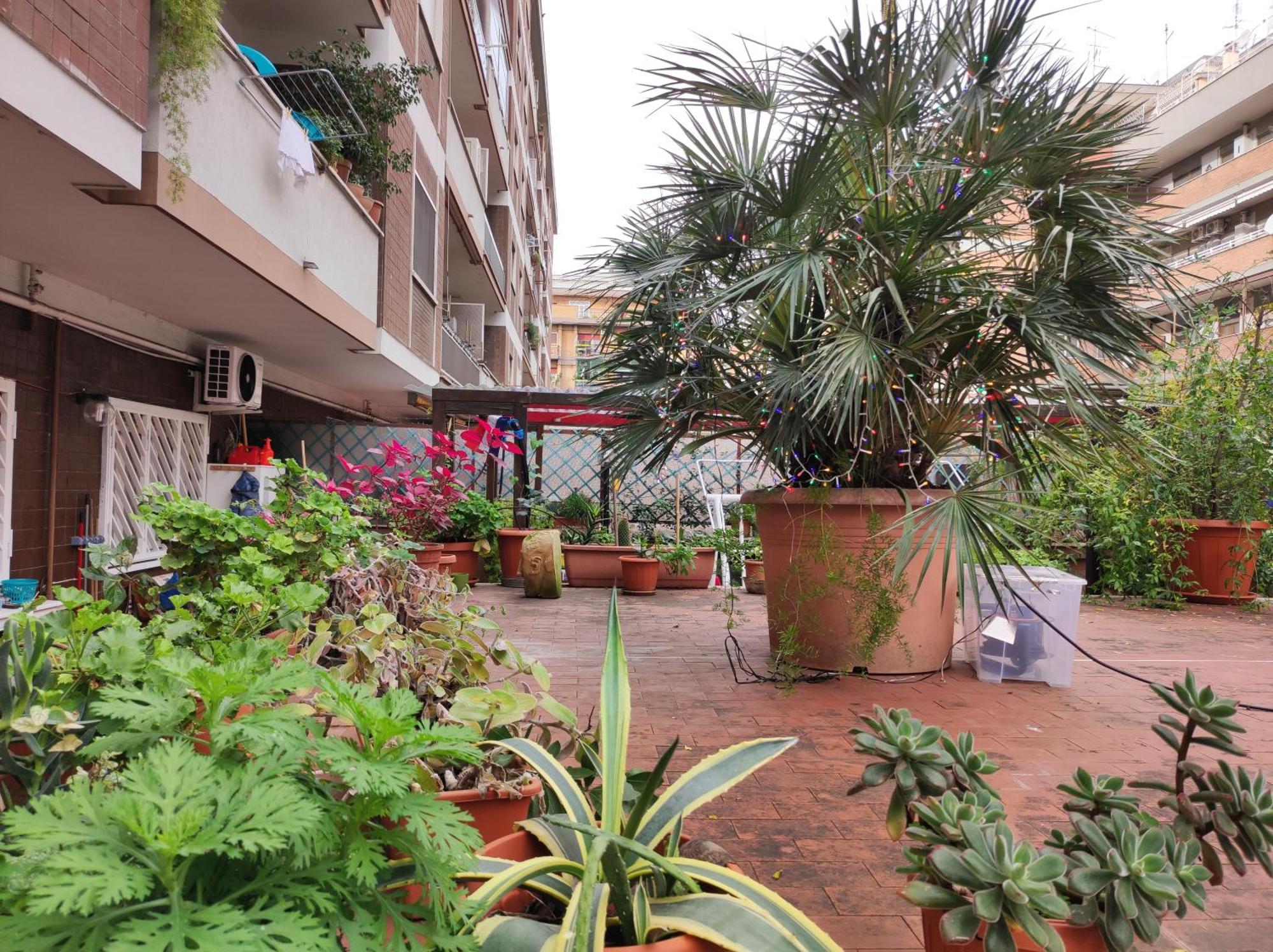 Lägenhet Terrazza Di Ernesto Rom